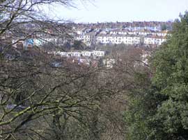 Round Hill through the trees of Woodvale