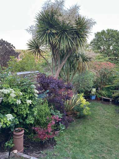 garden