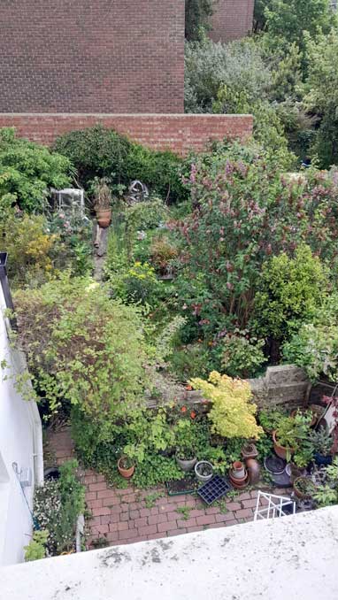 garden