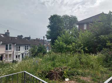 garden