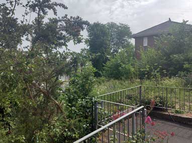 garden