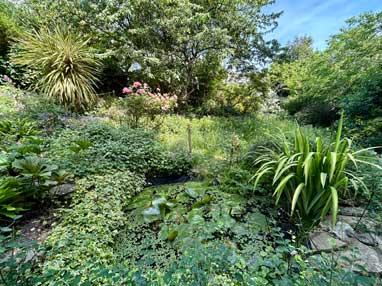 garden