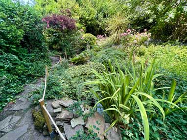 garden