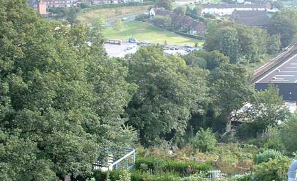 Proximity of WTS to land to the rear of Princes Road