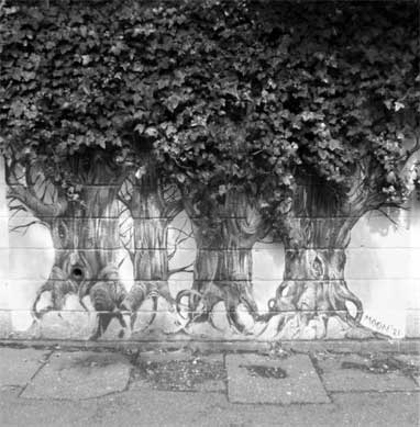 long wall