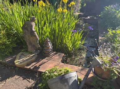 garden