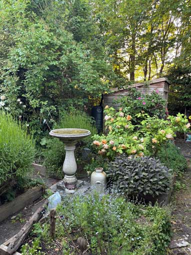 garden