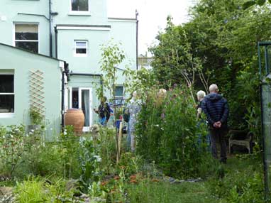 garden