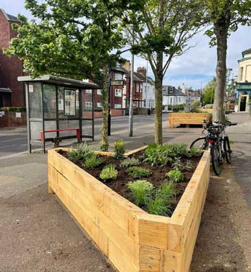 Pocket Park