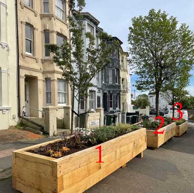 Pocket Park