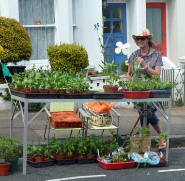 plant sale
