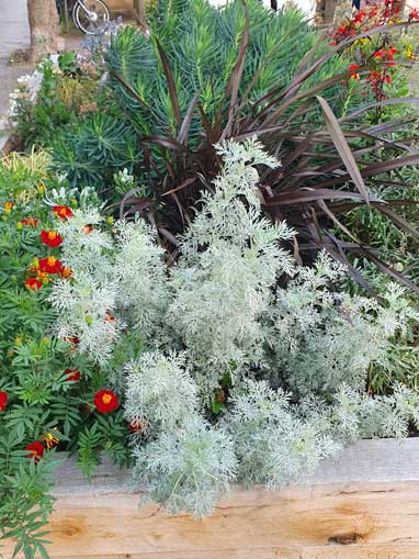 Pocket Park