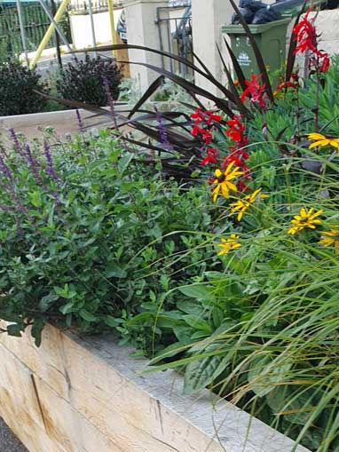 Pocket Park