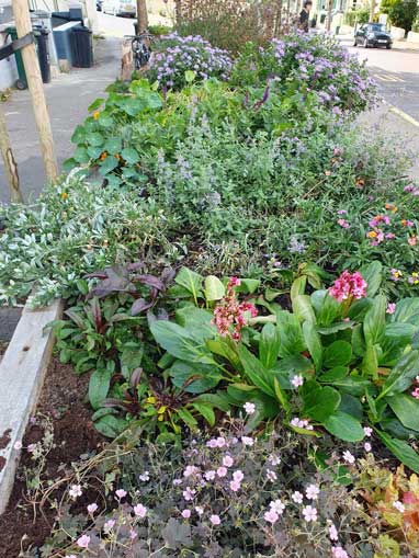 planter