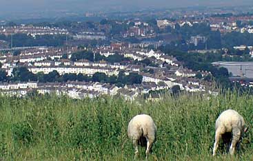 Round Hill from afar