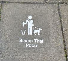 dog poo