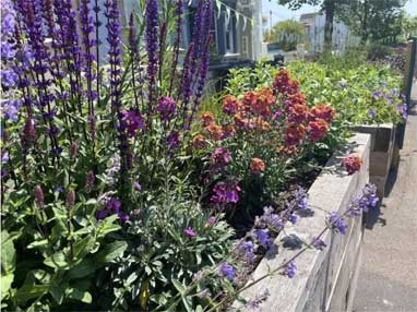 Pocket Park