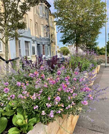 Pocket Park