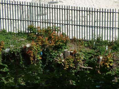 Proximity of Waste Transfer Station to residential area