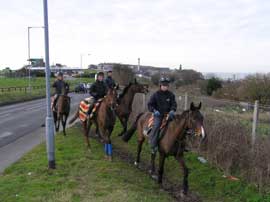 Amenities near Brighton Race Course