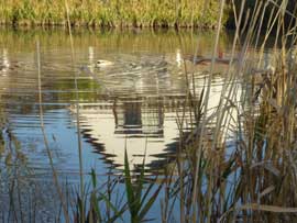 The Duck Pond at Rottingdean